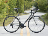 EMONDA SL 6 Rim - Silver